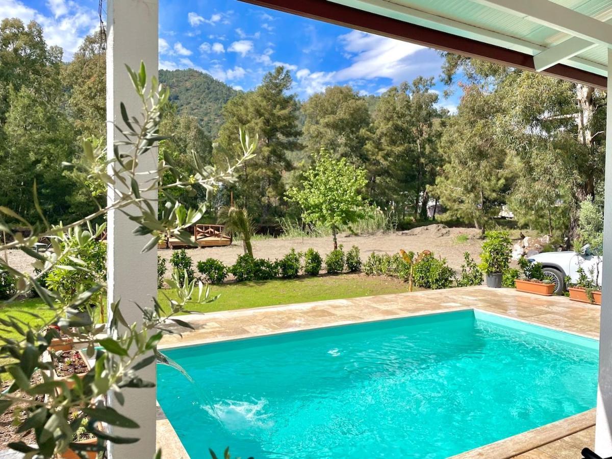 Luxury With Pool In Villa *