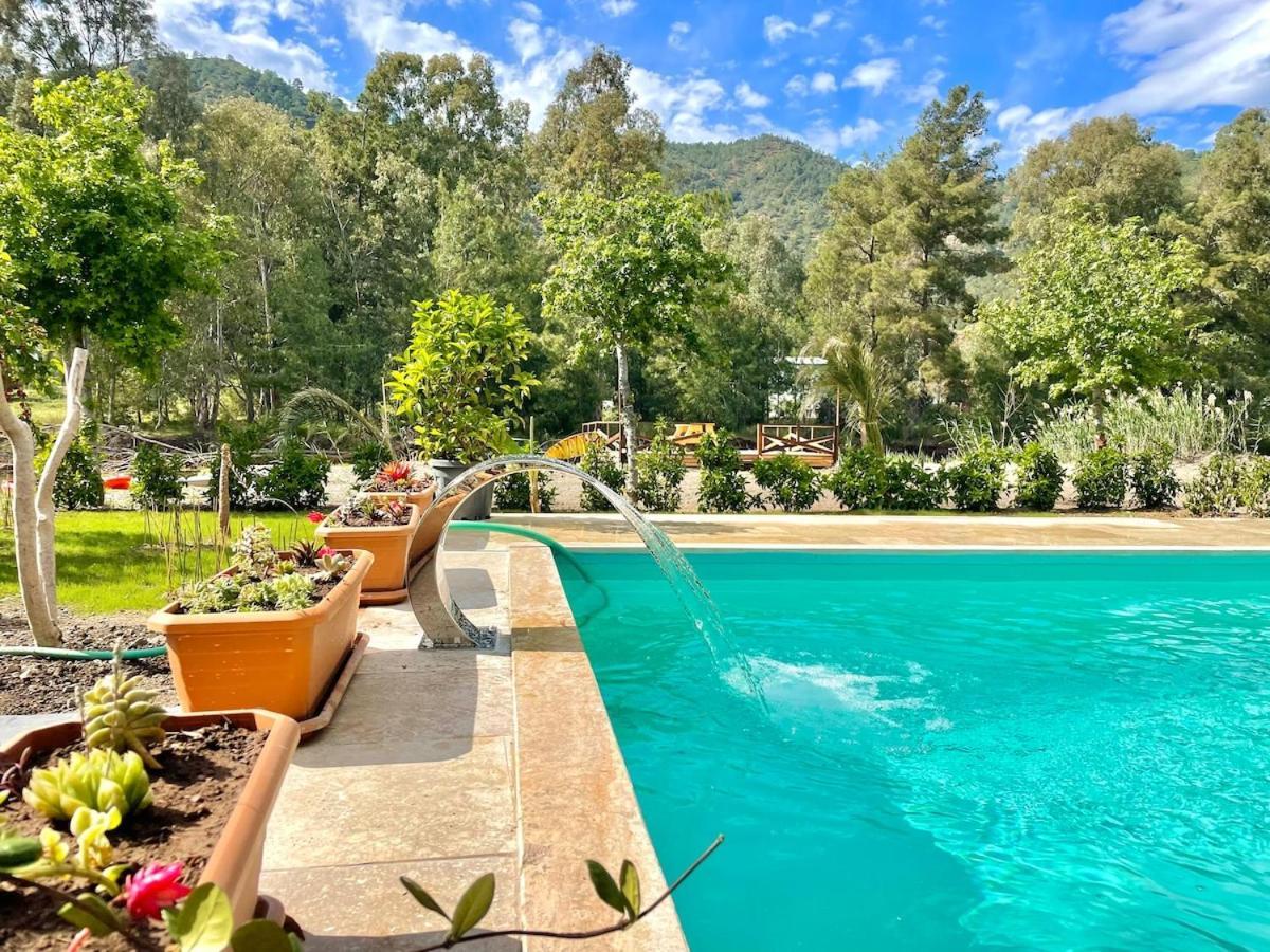 Villa Luxury With Pool In *
