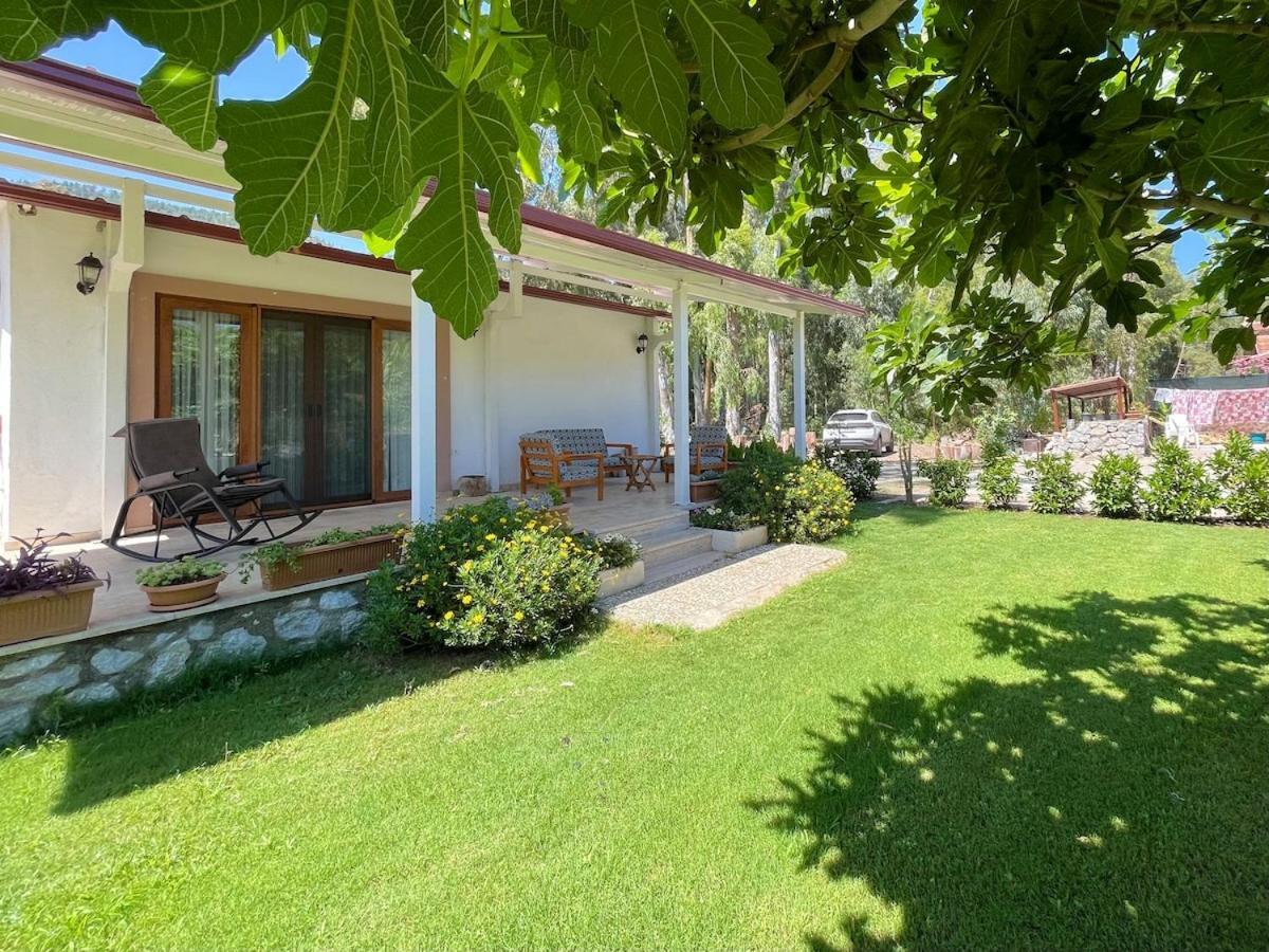 Villa Luxury With Pool In Marmaris
