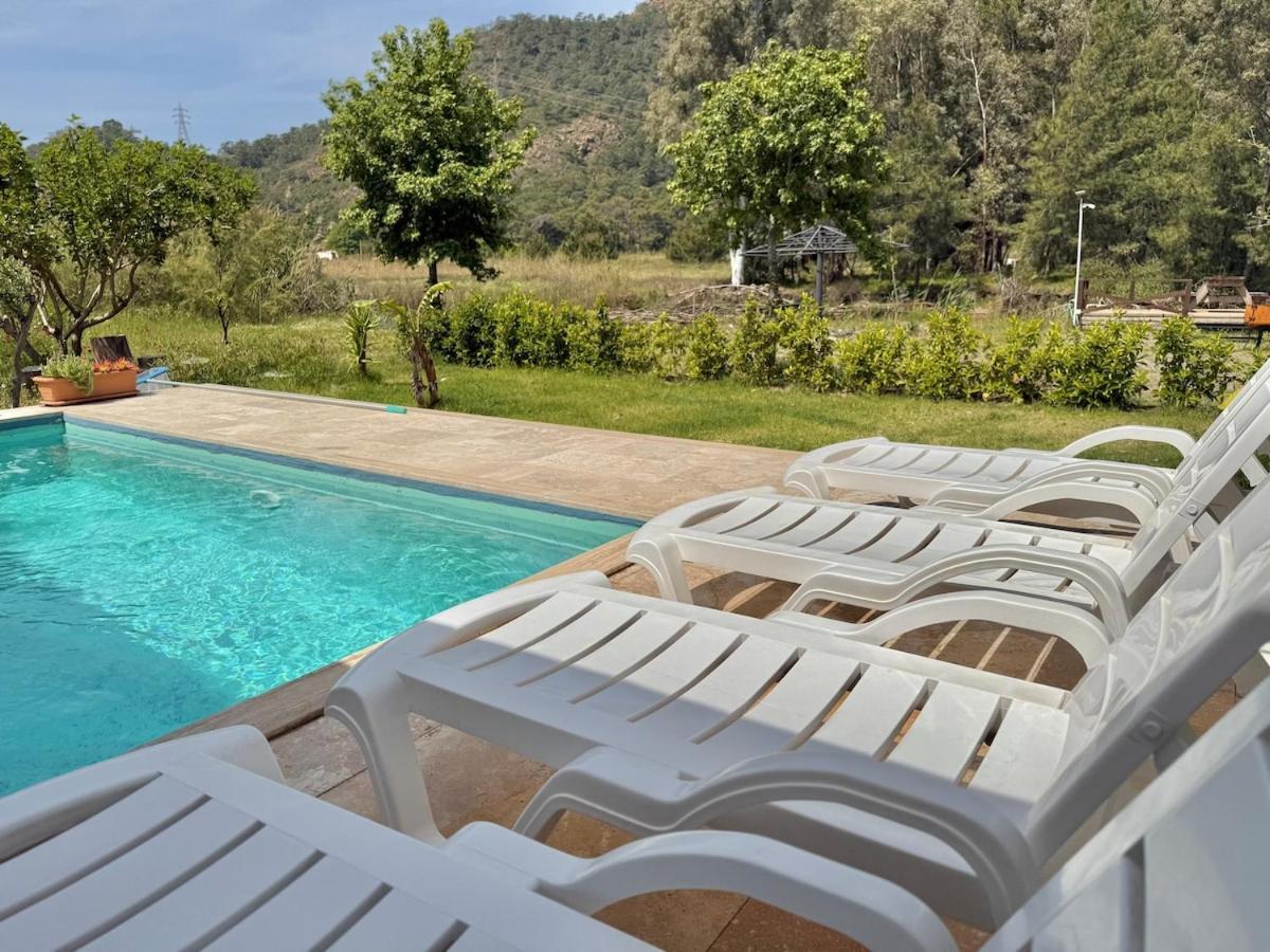 Luxury With Pool In