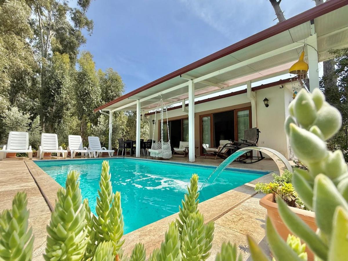 Villa Luxury With Pool In *